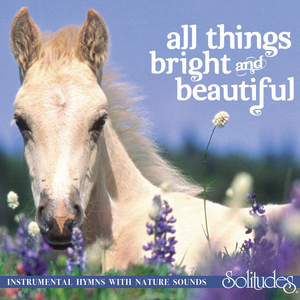 国内自拍视频在线观看
